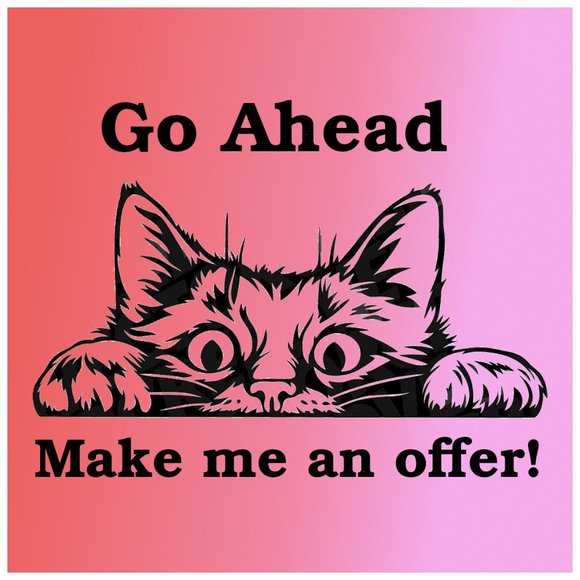 Don't be shy, Make Me an Offer!! - Picture 1 of 1